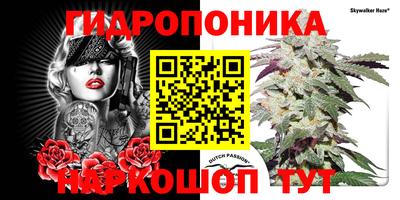 2c-b Кингисепп