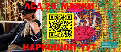 2c-b Кингисепп