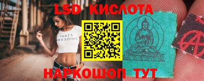 2c-b Кингисепп