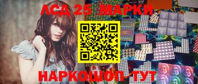 2c-b Кингисепп