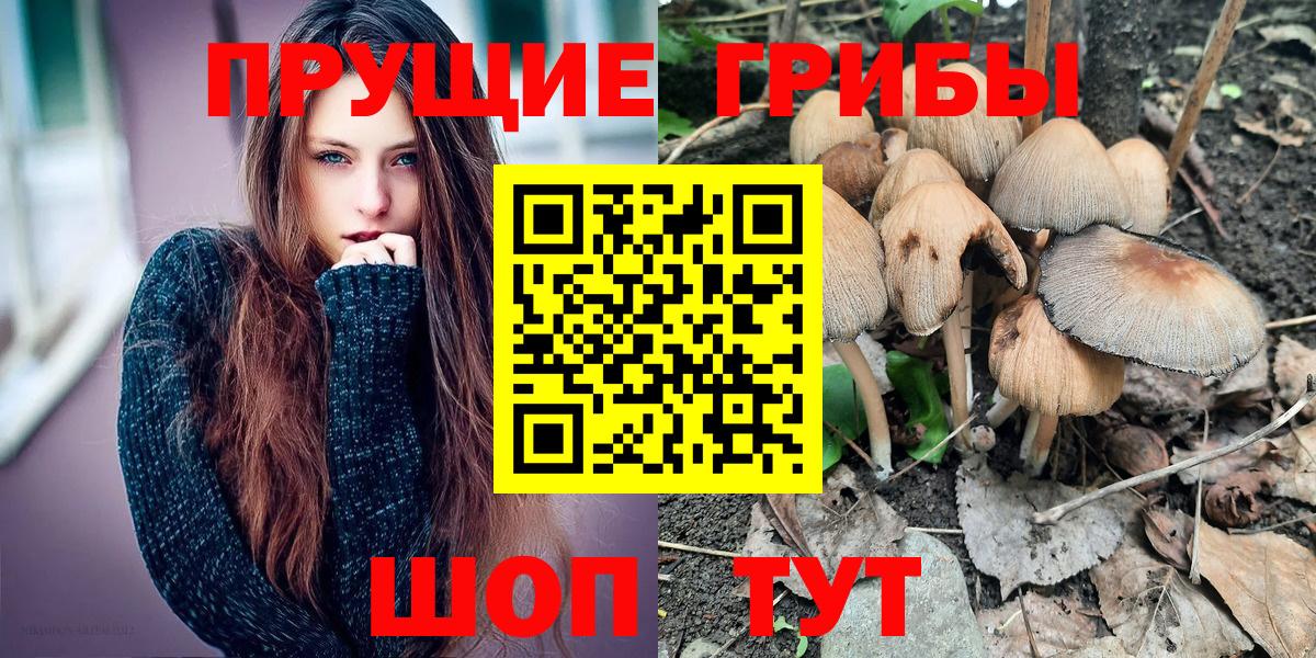 Галлюциногенные грибы мухоморы  Галлюциногенные грибы Magic Shrooms  Вход с VPN  Кинешма 